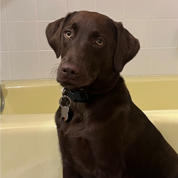 LIVE UPDATES 💕 - Picture 4 of 7